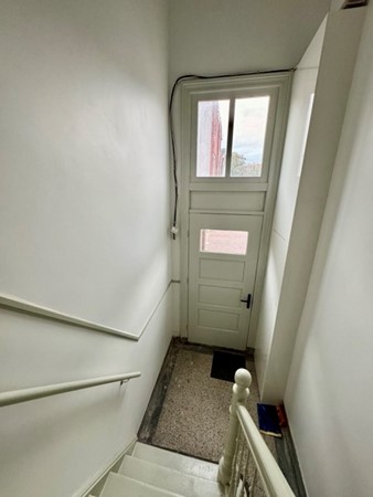 IMG_1248 2 Medium.jpeg